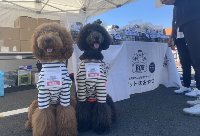 昨年約4,000名来場のわんちゃんと楽しめる祭典が今年も開催　「御殿場プレミアム・アウトレット ドッグフェスティバル」10月26日(土)・27日(日)のメイン画像