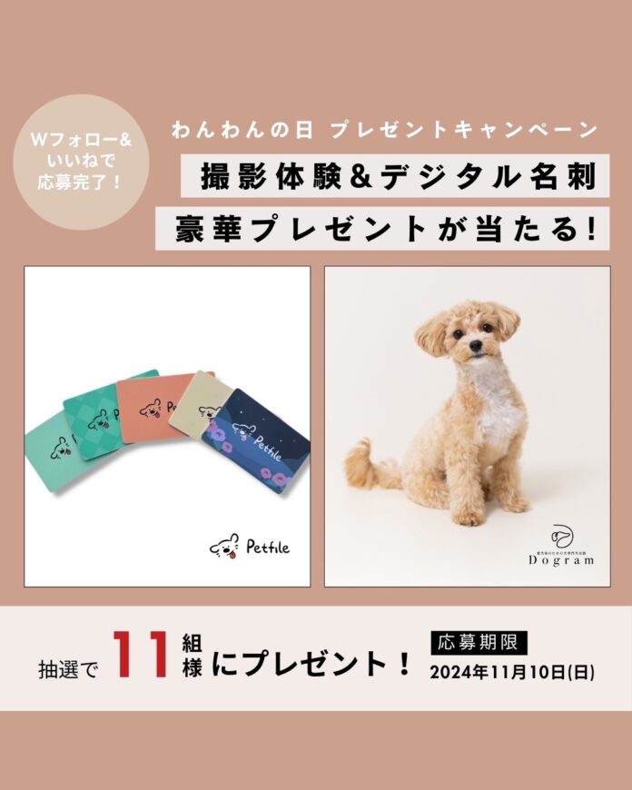 【11月1日は犬の日！】株式会社LOOTaDOG Japanは、愛犬家のための犬専門写真館Dogramと共同で、「わんわんの日キャンペーン」を開催いたします。のメイン画像