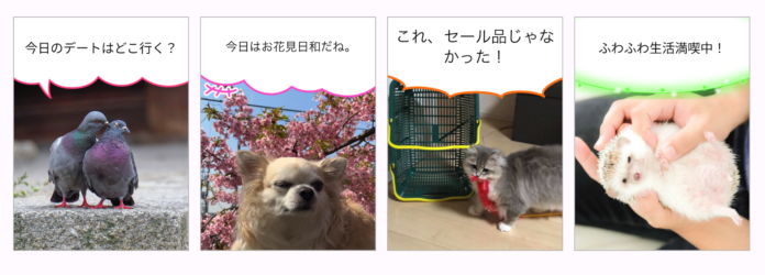 「ペットの気持ちAI」は、カラフルで可愛い吹き出しを選択できるようになりました。のメイン画像