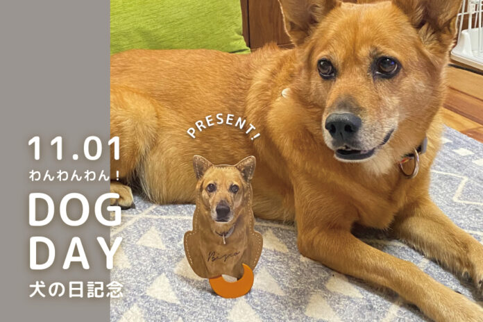 祝・犬の日！愛犬がキーケースに！犬の日を記念して、応募者の中から抽選で1名様にプレゼントするキャンペーンを開催いたします。のメイン画像