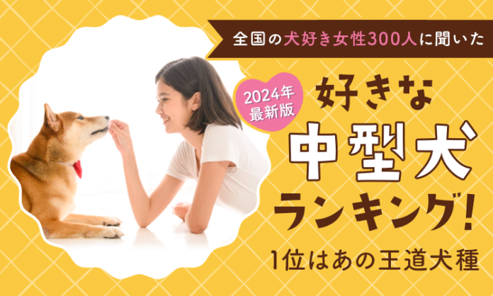 【2024年最新版：全国の犬好き女性300人に聞いた】好きな中型犬ランキング！1位はあの王道犬種のメイン画像
