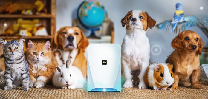 動物病院の収益増に！ 院内に空気清浄機を置くだけの『OKUDAKEビジネス』、専用サイトオープンのメイン画像