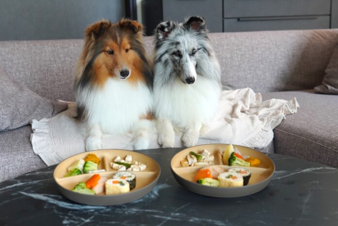 【自社調査】愛犬との旅行に関する調査で、約9割が「愛犬用のお食事を注文する・内容によっては注文する」と回答のメイン画像