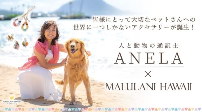 【アネラ×マルラニハワイ】世界にひとつ、ペットのお守りパワーストーンアクセサリーを発売開始！のメイン画像