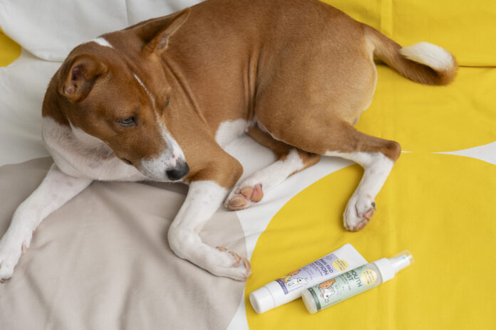 愛犬の為のらくらく歯周病対策&肉球保湿。安心安全のオーガニックケアで口内環境を整え、肉球をいたわる習慣を『月桃 マウスミスト』『月桃 肉球ローション』2024年11月8日より公式オンラインで発売開始！のメイン画像