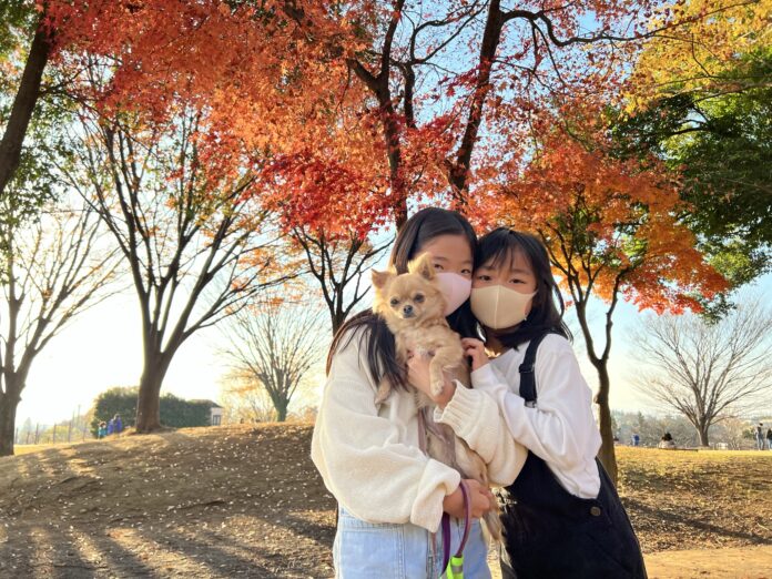 【11/23出発】 秋のスペシャル犬キャンプのメイン画像