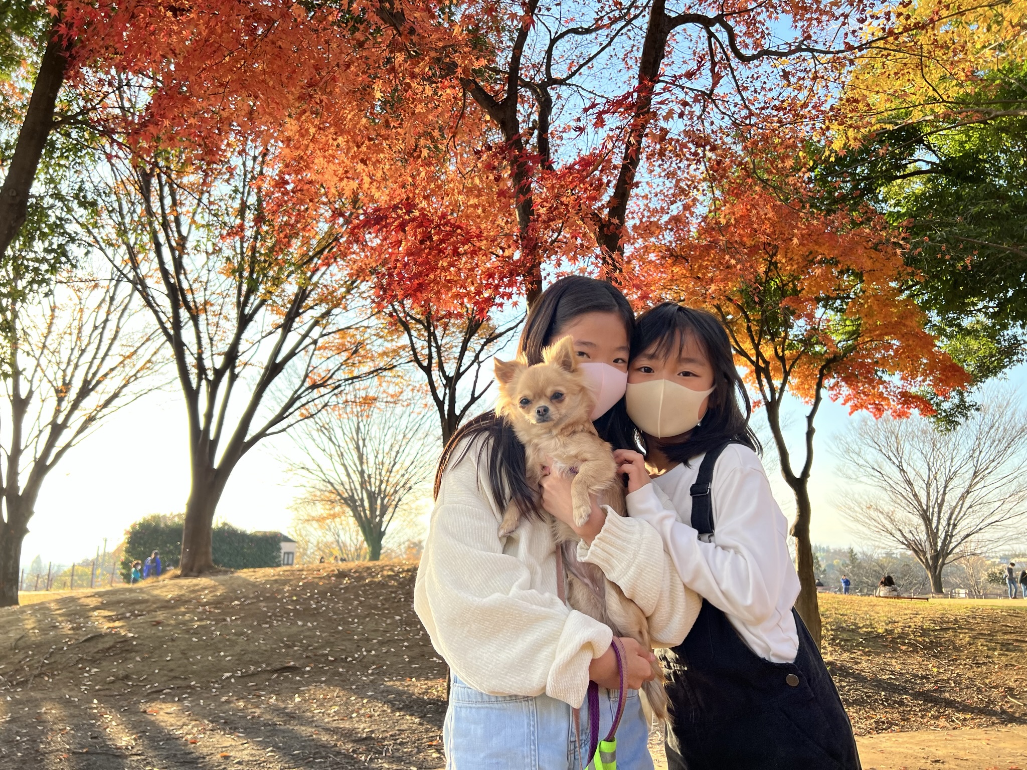 【11/23出発】 秋のスペシャル犬キャンプのサブ画像1