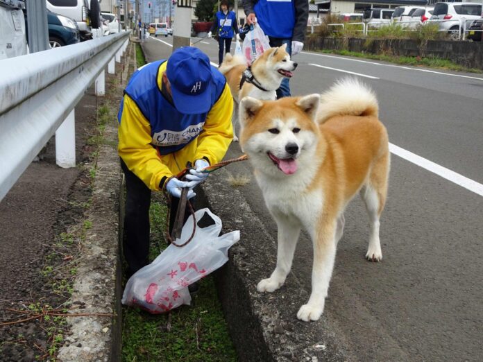 あきたの海ごみゼロへ！新しいマナー習慣の提案「犬の散歩でごみ拾いキャンペーンIN大館 part6」を開催。のメイン画像