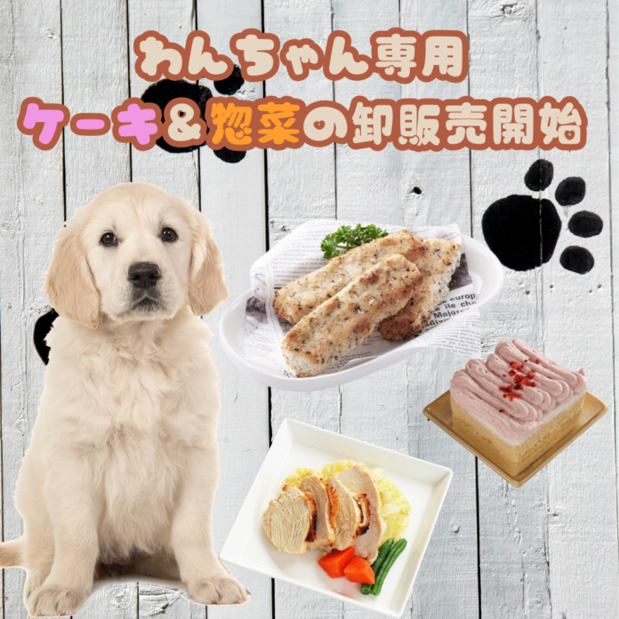 犬専用ケーキ・お惣菜の卸販売開始！犬も喜ぶ、こだわりの商材をお届けします★のメイン画像