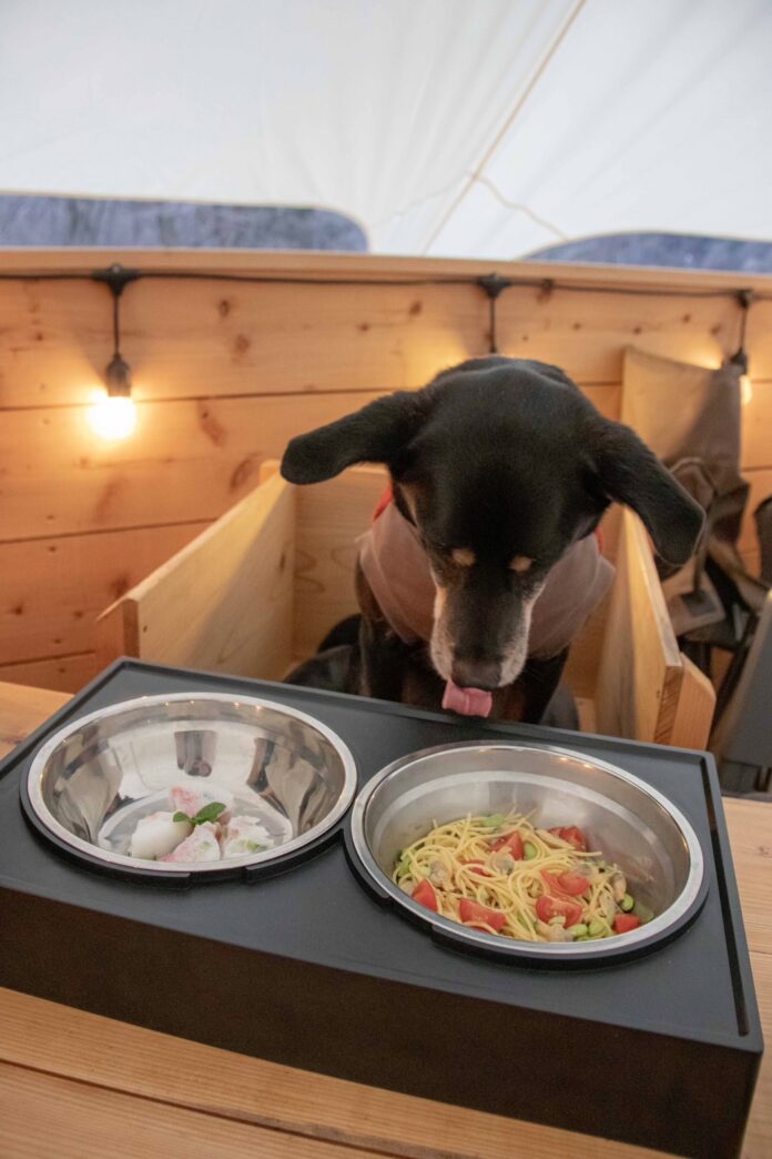 最高のリトリートを体験できる THE FIVE RIVERS FINE GLAMPING 群馬 白沢　ペットフーディスト監修　愛犬の為の ”特製愛犬ディナー” 2024秋ver 販売開始のメイン画像