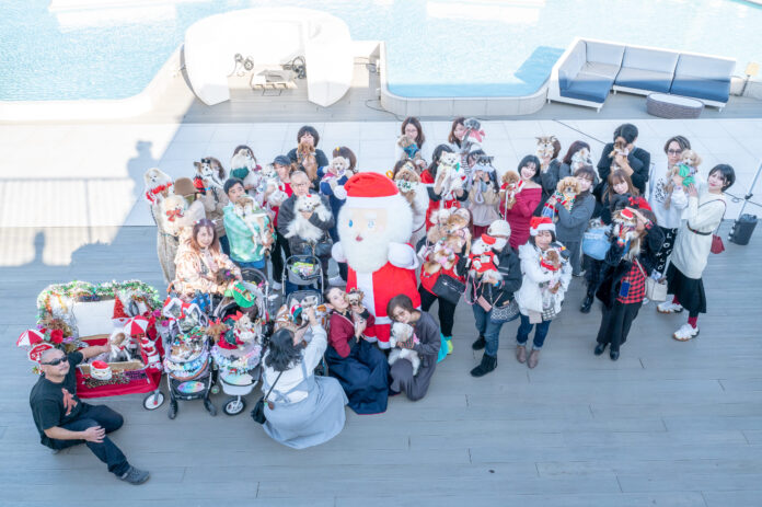 38頭のわんにゃんが大集合！ペトナビ主催Xmasイベント「にゃんドル☆わんドル サンタと踊ろう」が12/21(土)に開催されました！のメイン画像