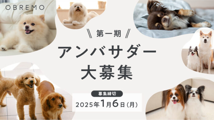 “人と同じ食卓に並べられる品質”のヒューマングレードドッグフードブランド「OBREMO（オブレモ）」が公式アンバサダー1期生の募集を開始。のメイン画像