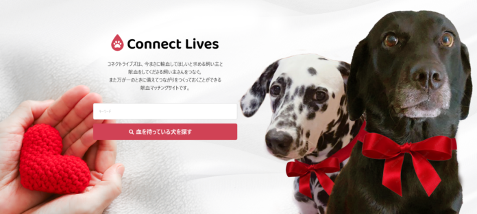 輸血が必要な犬の命を救う、新たな選択肢が誕生　わんちゃんのための献血マッチングサイト「Connect Lives」のメイン画像