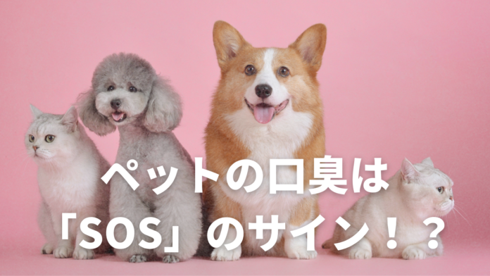 換気不足の冬だから気づく、ペットのニオイ。実はSOSのサインだと知っていますか？のメイン画像