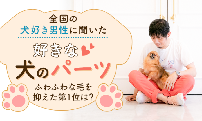 全国の犬好き男性に聞いた「好きな犬のパーツ」ふわふわな毛を抑えた第1位は？のメイン画像