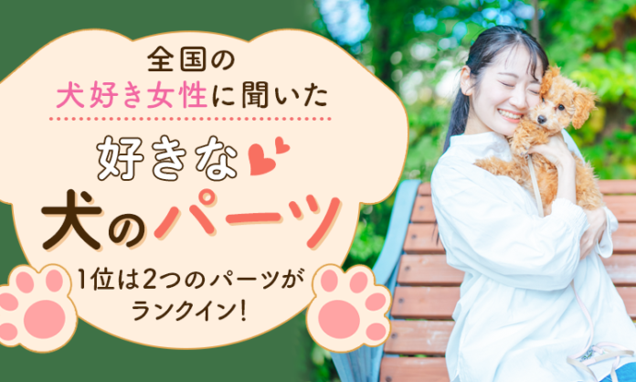 全国の犬好き女性に聞いた「好きな犬のパーツ」1位は2つのパーツがランクイン！のメイン画像