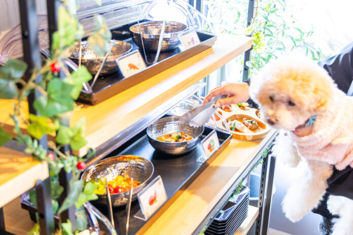 【新サービス＆無料キャンペーン】愛犬専用ビュッフェサービス「ワンビュッフェ」提供開始！さらに2月末まで限定で無料提供キャンペーン実施～ドッグヴィラ千葉南房総のメイン画像