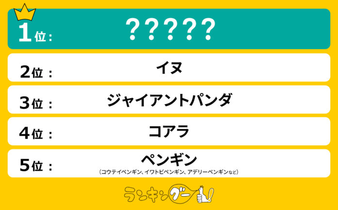 可愛い動物ランキングを調査！1,151票を獲得し1位に選ばれたのは…？のメイン画像