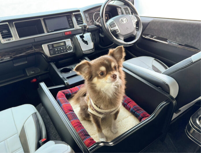 『わんちゃんとドライブを楽しむ車』にもってこい！カラーバリエーションが12月23日から増えます！！のメイン画像