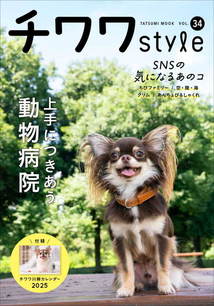 愛犬をクールにかっこよく撮影！ チワワ専門誌『チワワstyle』で活躍中のプロカメラマンが撮った、愛犬の写真データが必ずもらえる“チワワ限定撮影会”開催！のメイン画像