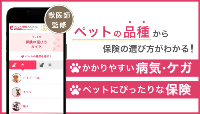 【獣医師監修】ペットの品種から保険の選び方がわかる！新コンテンツ公開のメイン画像
