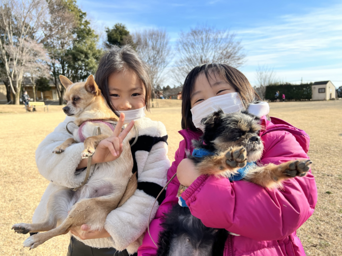 【こどもの休日の過ごし方】10名限定！１人１匹のワンちゃんと過ごすスペシャルスクールのメイン画像