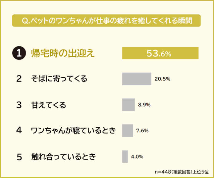 【仕事の疲れをペットのワンちゃんが癒してくれる瞬間ランキング】男女448人アンケート調査のメイン画像