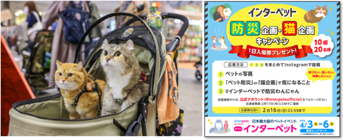 新企画「ペット防災」「インターキャッツ」も登場のメイン画像