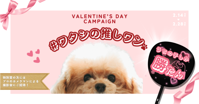 うちの子しか勝たん！バレンタインに推し活「#ワタシの推しワン」フォトキャンペーンを開催のメイン画像