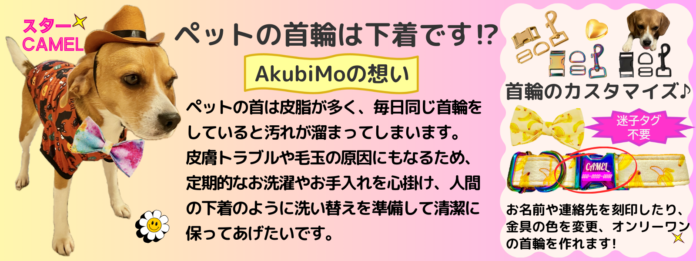 ペットの首輪は下着です⁉～我がペットを可愛く幸せにしたい！を実現～AkubiMo(あくび~も) が第14回ウーマンズビジネスグランプリ2025 in品川ファイナリストに選出されビジネスプランを発表のメイン画像