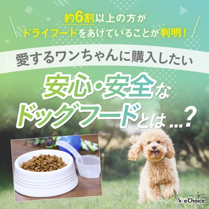 【約6割以上の方がドライフードをあげていることが判明！】愛するワンちゃんに購入したい安心・安全なドッグフードとは...？のメイン画像