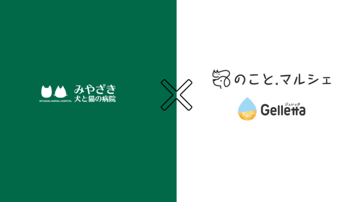 のこと。マルシェで取り扱うGelletta®（ジュレッタ）の提携動物病院に、みやざき犬と猫の病院が加わりましたのメイン画像