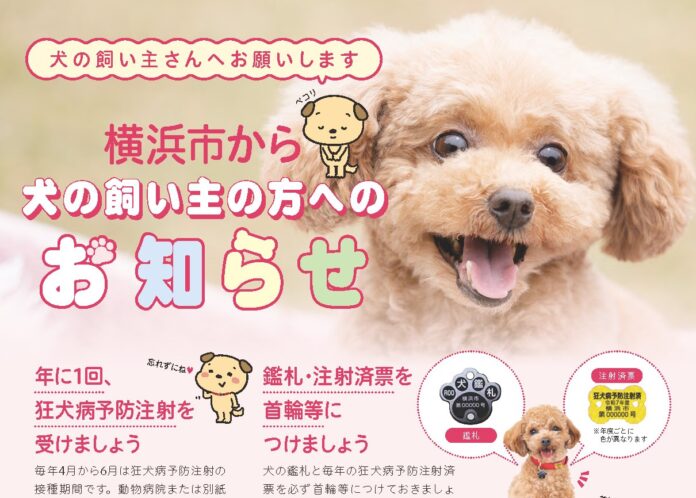 ＼横浜をもっとドッグフレンドリーな街に／「犬の飼い主の方へのお知らせ」のデザインをリニューアル！のメイン画像