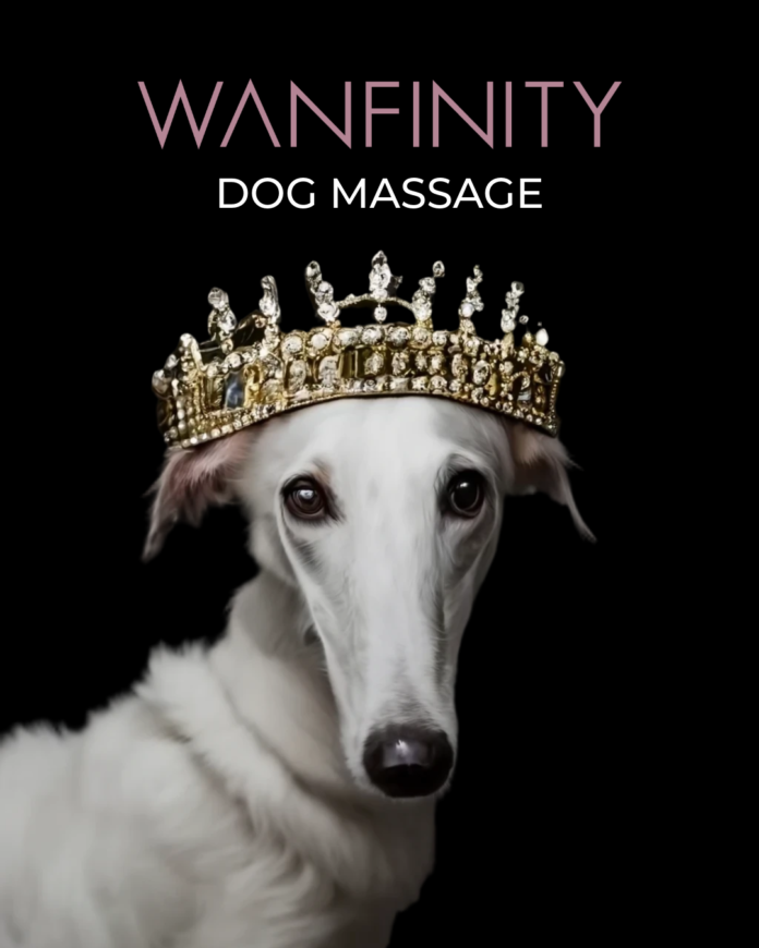 「たいせつなあなたと ずっと一緒にいたいから」上質なドッグマッサージを提供するWanfinity （ワンフィニティ） デビューのメイン画像
