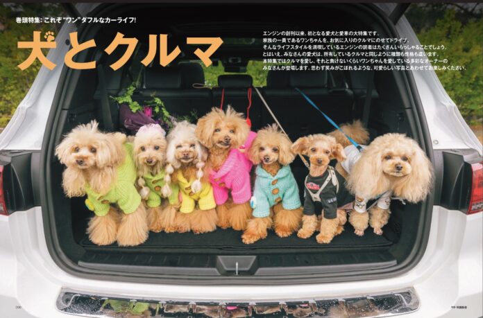 本日発売の「ENGINE」5月号では、雑誌の創刊以来、初めてとなる「犬とクルマ」を大特集。思わず笑みがこぼれるような、可愛らしい写真が満載です！のメイン画像