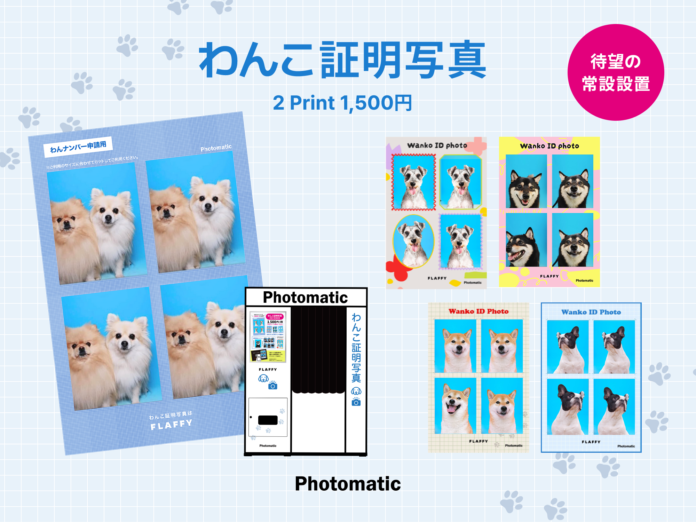 HOT DOG TOWN Ariakeに「わんこ証明写真」が撮影できるセルフフォトブースPhotomaticが登場のメイン画像