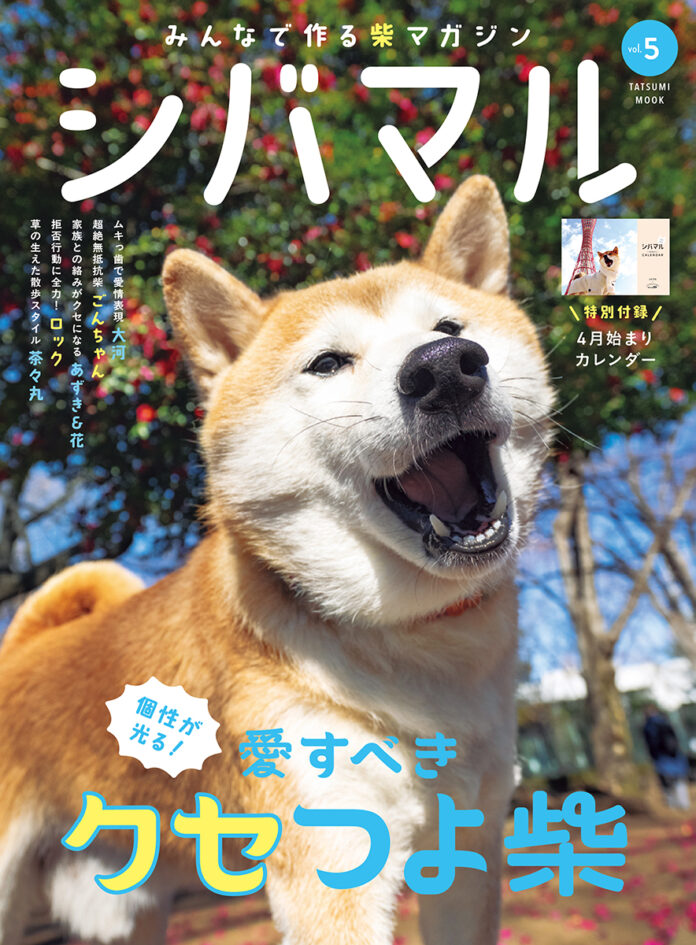 SNSで話題の“クセつよ”柴犬を大特集！ 人気投稿のウラ側などファン必見の柴犬専門マガジン『シバマル』Vol.5が3月31日（月）発売のメイン画像