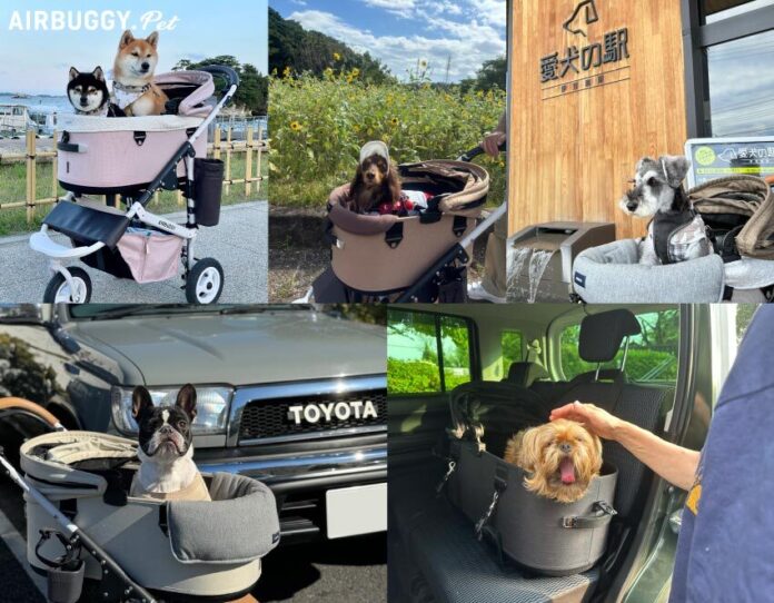 愛犬との旅行に役立つ！旅の主役は“移動時間”だった。ペットとのロングドライブに必要な5つのことのメイン画像