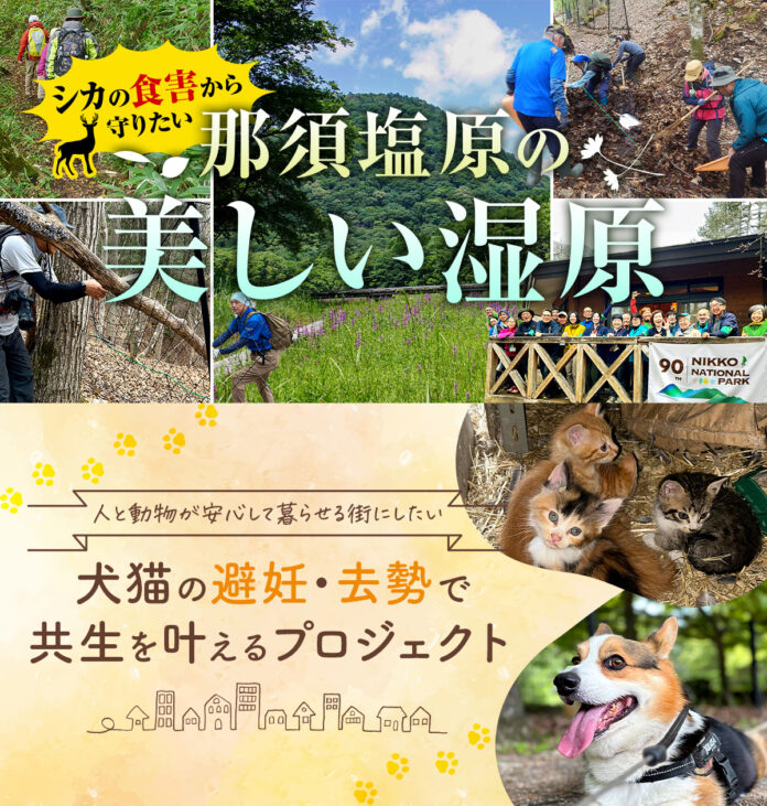 【栃木県那須塩原市】「美しい湿原の保全」と「犬猫との共生」のため、ふるさと納税を活用したクラウドファンディングを開始のメイン画像