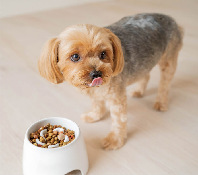 自然な体勢でゆっくり食べられる！愛犬の健康をサポートする凹凸食器。のメイン画像
